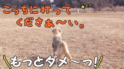 1,H26年26土手09.jpg