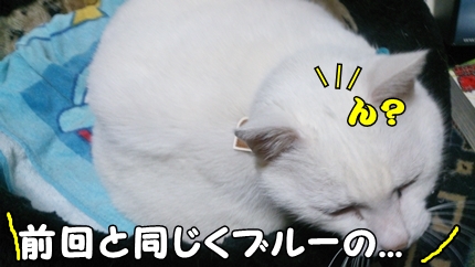 1,H26年26土手16.jpg