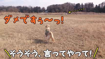1,H26年26土手17.jpg