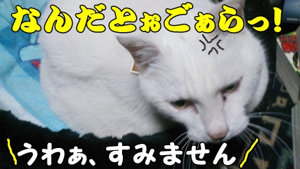 1,H26年26土手21.jpg