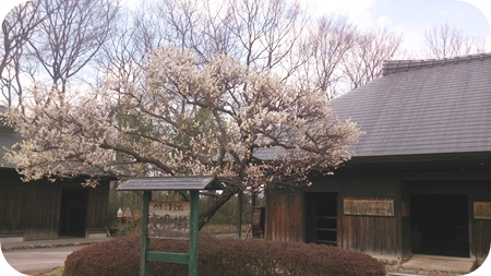 1,H26春01.jpg