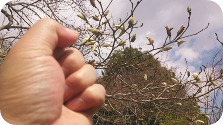 1,H26春02.jpg