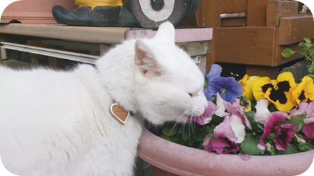 1,H26春06.jpg