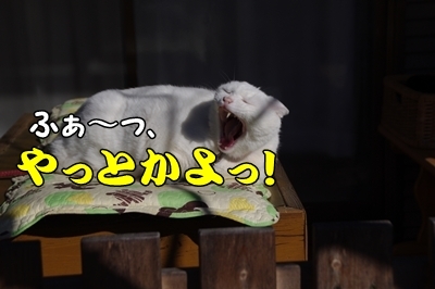 1成績01.jpg