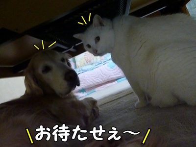 1成績02.jpg