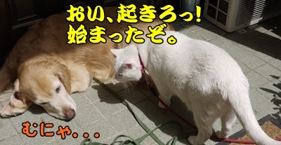1成績03.jpg