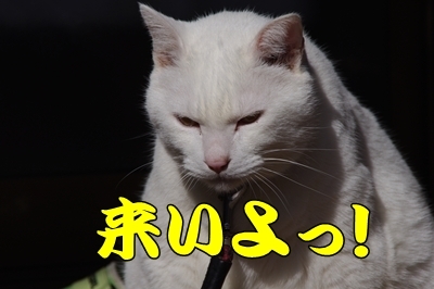 1成績04.jpg