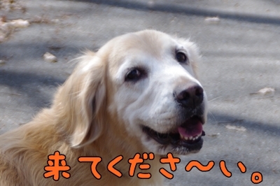 1成績05.jpg