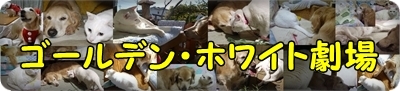 1成績06.jpg
