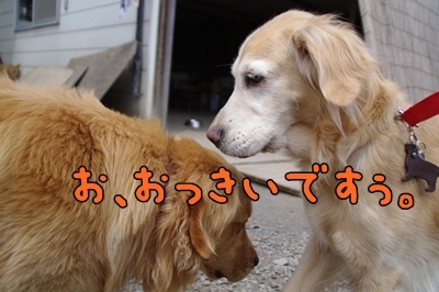 1新ブログ05.jpg