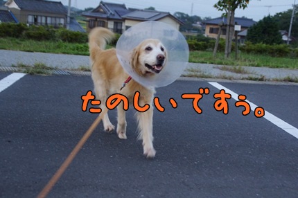 1.エリサン01.JPG