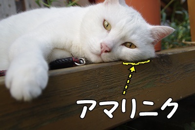 1.スヌーピー08.jpg