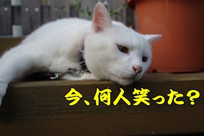 1.スヌーピー09.jpg