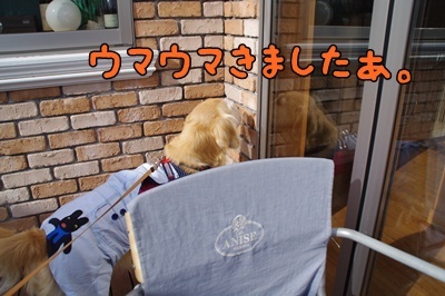 1.足利紀行08.jpg