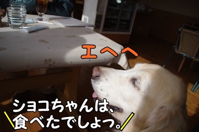 1.足利紀行12.jpg