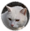 1かお小04.png