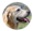 1かお小09.png
