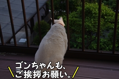 1新ブログ01.jpg