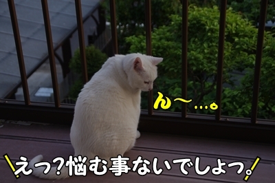 1新ブログ02.jpg