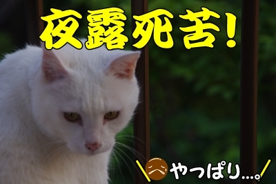 1新ブログ03.jpg