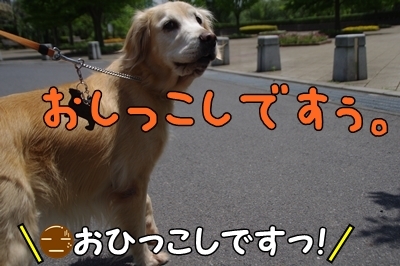 1新ブログ06.jpg