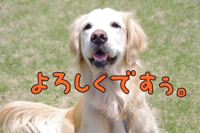 1新ブログ07.jpg